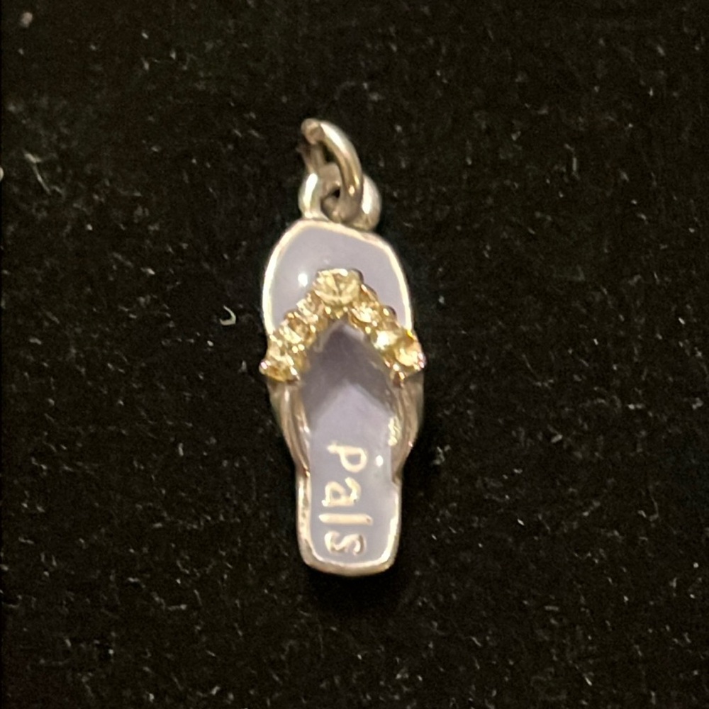 Pals Purple & Silver Charm